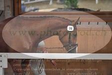 ref. photo 3201818