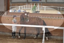 ref. photo 3201825
