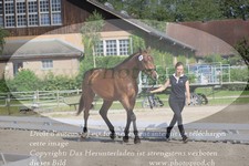 ref. photo 3201833