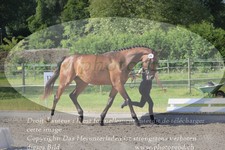 ref. photo 3201836