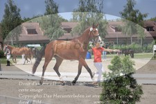 ref. photo 3201852