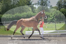 ref. photo 3201855