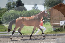 ref. photo 3201856