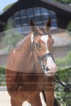 ref. photo 3201860