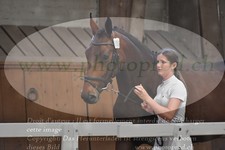 ref. photo 3201861
