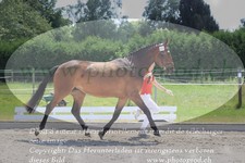 ref. photo 3201883