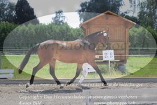 ref. photo 3201884