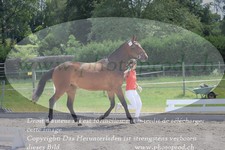 ref. photo 3201886