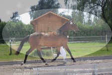 ref. photo 3201888