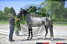 ref. photo 3663887