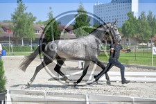 ref. photo 3663900