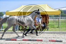 ref. photo 3663901