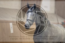 ref. photo 3663905
