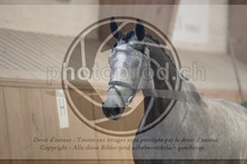 ref. photo 3663906