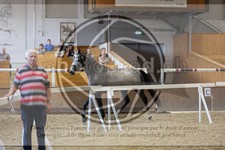 ref. photo 3663914