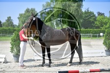 ref. photo 3663940