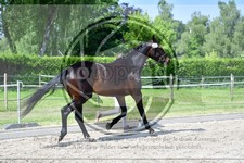 ref. photo 3663952