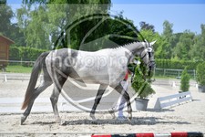 ref. photo 3663973