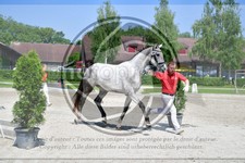 ref. photo 3663984