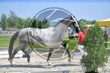 ref. photo 3663985