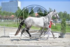 ref. photo 3663995