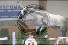 ref. photo 3664001