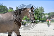 ref. photo 3664052