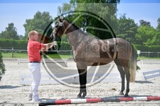 ref. photo 3664054