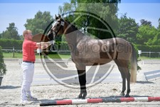 ref. photo 3664055
