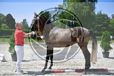 ref. photo 3664058