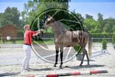 ref. photo 3664060