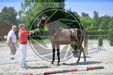 ref. photo 3664061