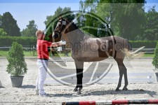ref. photo 3664064