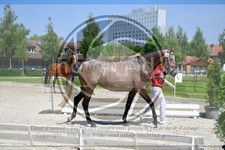 ref. photo 3664066