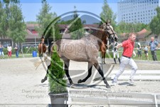 ref. photo 3664076