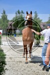 ref. photo 3664114
