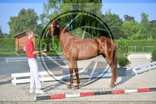 ref. photo 3664154