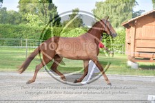ref. photo 3664158