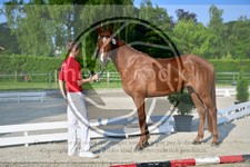 ref. photo 3664162