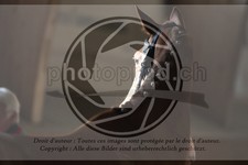 ref. photo 3664179