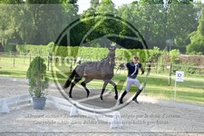 ref. photo 3664198