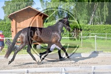 ref. photo 3664203