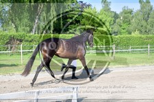 ref. photo 3664204