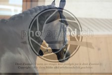 ref. photo 3664218