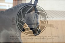 ref. photo 3664219