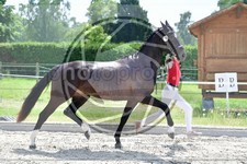 ref. photo 3664266
