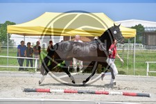 ref. photo 3664269