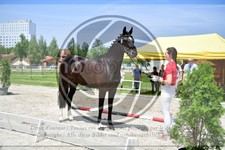 ref. photo 3664276