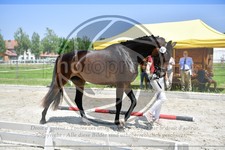 ref. photo 3664313