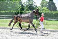 ref. photo 3664316